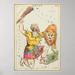 Leo - Orion - Konstellation - Sterne Poster
