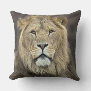 Leo Pillow Kissen