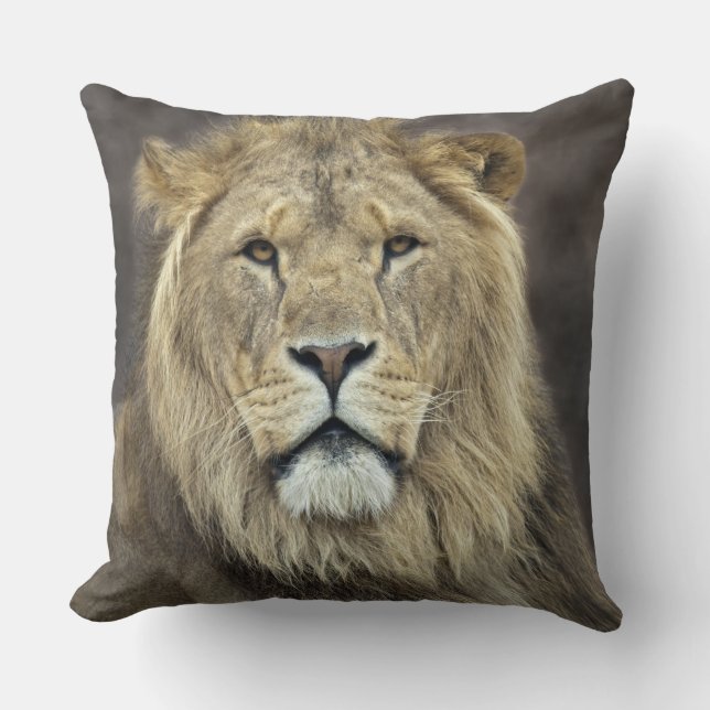 Leo Pillow Kissen (Vorderseite)
