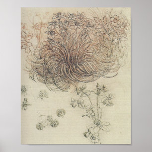 Leonardo Botanical Study Poster