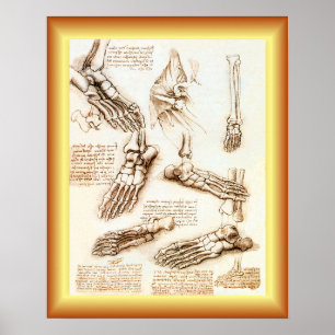 Leonardo da Vinci ~ Fußanatomie ~ Poster