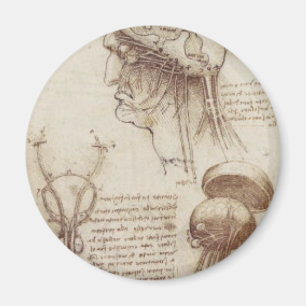 Leonardo da Vinci - Gehirn-Physiologie Magnet