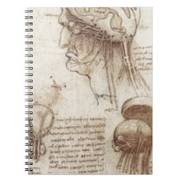Leonardo da Vinci - Gehirn-Physiologie Notizblock