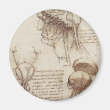 Leonardo da Vinci - Hirnphysiologie