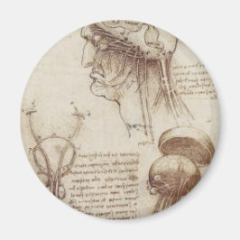 Leonardo da Vinci - Hirnphysiologie Magnet
