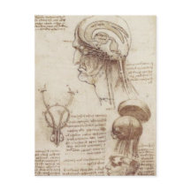 Leonardo da Vinci - Hirnphysiologie