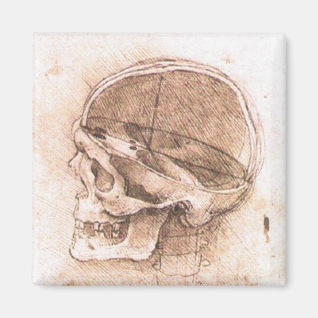 Leonardo da Vinci Skull Anatomie Kunst Magnet (Vorne)