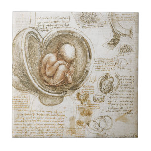Leonardo da Vinci Studien des Fötus in der Gebärmu Fliese