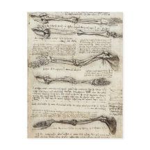 Leonardo da Vinci - Studien zum Armaturenwerk