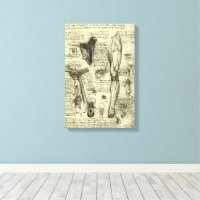 Leonardo da Vinci Vintage menschliche Anatomie Keh