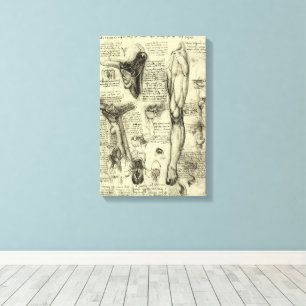 Leonardo da Vinci Vintage menschliche Anatomie Keh Leinwanddruck