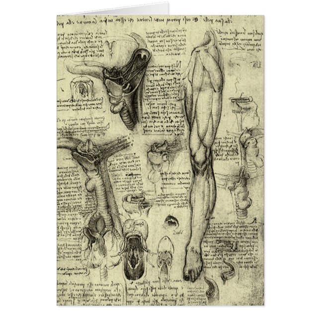 Leonardo da Vinci Vintage menschliche Anatomie Lar (Vorne)