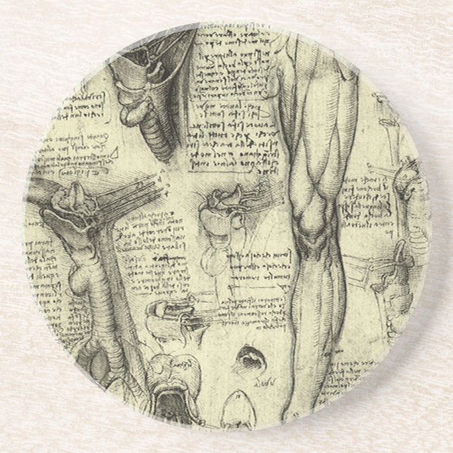 Leonardo da Vinci Vintage menschliche Anatomie Lar Untersetzer (Vorne)