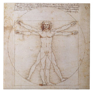 LEONARDO DA VINCI ... VITRUVIAN MAN ... C 1490 FLIESE
