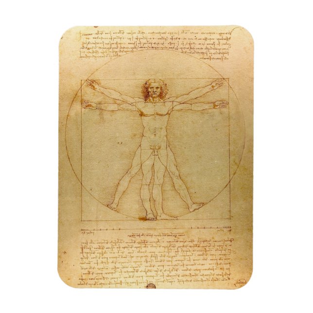 Leonardo Da Vinci, Vitruvian Man, Goldener Schnitt Magnet (Vertikal)