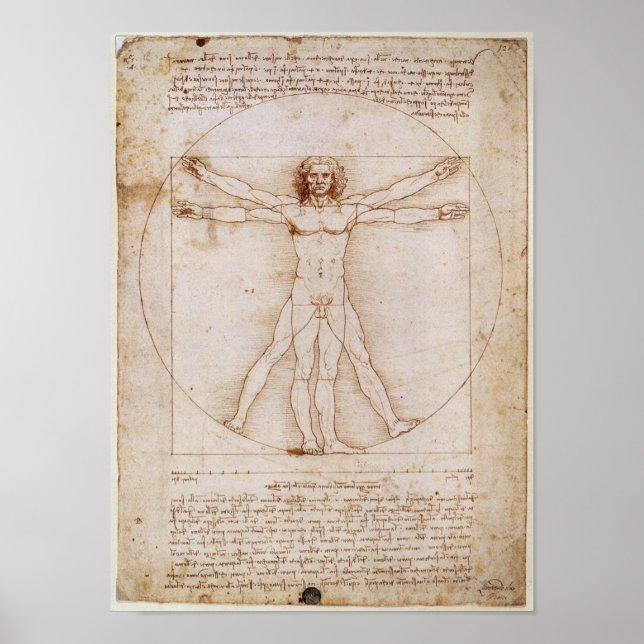 Leonardo da Vinci Vitruvian Man Poster (Vorne)