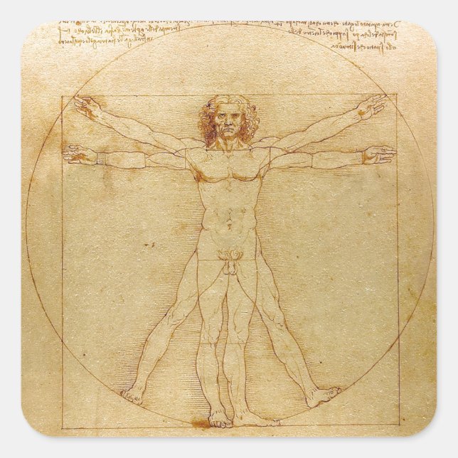 Leonardo da Vinci , Vitruvian Man Quadratischer Aufkleber (Vorderseite)