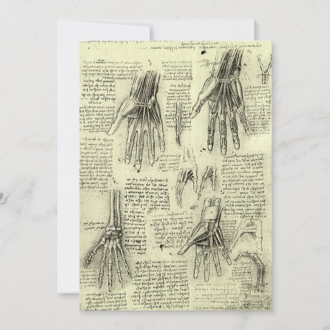 Leonardo da Vincis Anatomie der menschlichen Hand (Vorderseite)