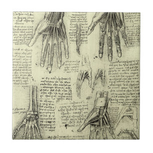 Leonardo da Vincis Anatomie der menschlichen Hand Fliese