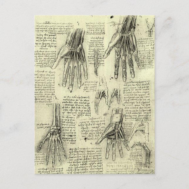 Leonardo da Vincis Anatomie der menschlichen Hand Postkarte (Vorderseite)