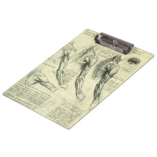 Leonardo da Vincis Anatomie des Arms und der Schul Klemmbrett