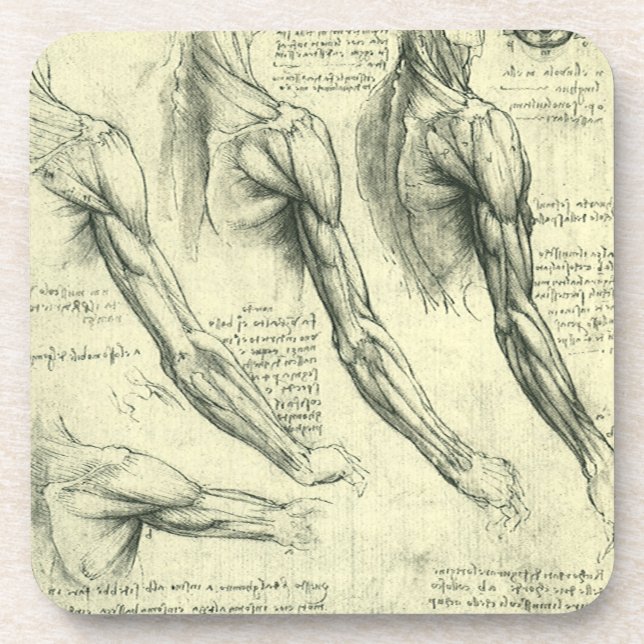 Leonardo da Vincis Anatomie des Arms und der Schul Untersetzer (Vorderseite)
