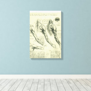 Leonardo da Vincis Arm- und Schulteranatomie Leinwanddruck