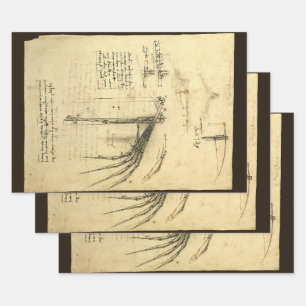 Leonardo da Vincis Flügelmaschinenkizze Geschenkpapier Set