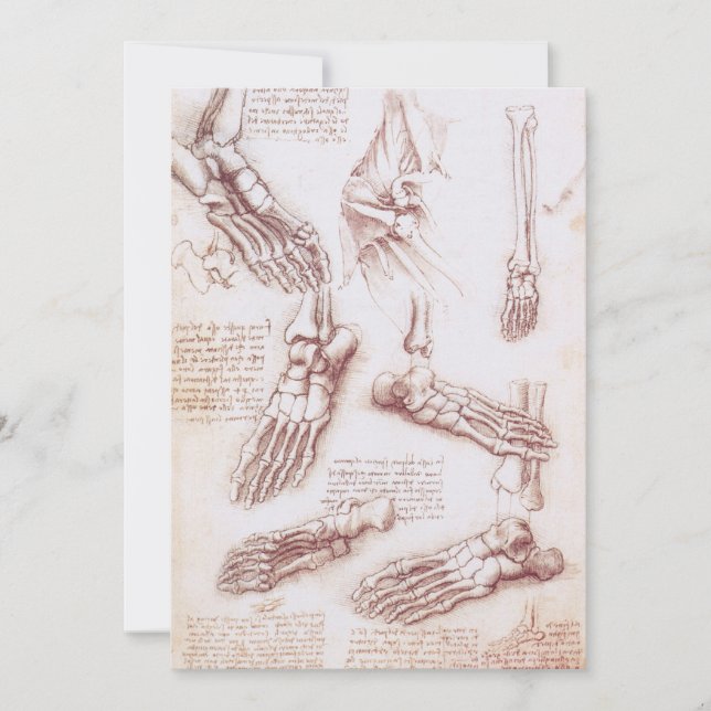 Leonardo da Vincis menschliche Anatomie (Vorderseite)