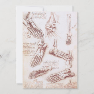 Leonardo da Vincis menschliche Anatomie Fußknochen