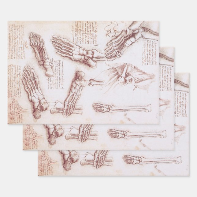 Leonardo da Vincis menschliche Anatomie Geschenkpapier Set (Set)