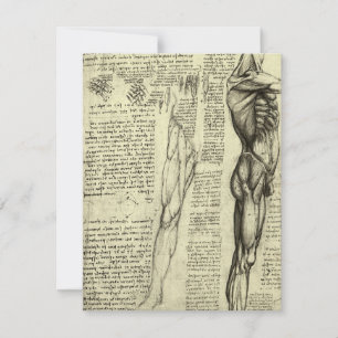 Leonardo da Vincis menschliche Anatomie männliche 