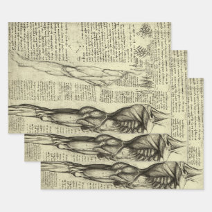 Leonardo da Vincis menschliche Anatomie männliche  Geschenkpapier Set