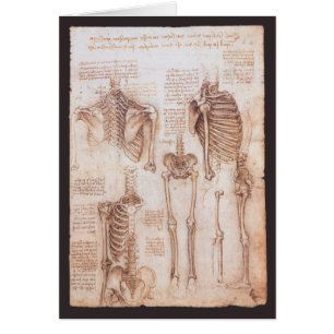 Leonardo da Vincis menschliche Anatomie Skelettkno