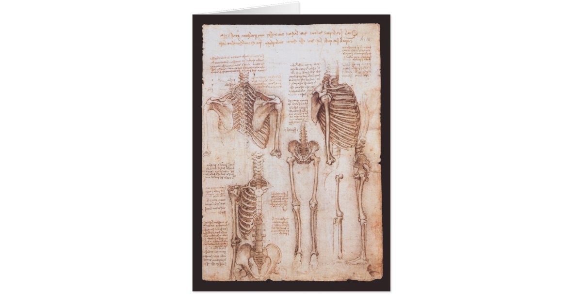 Leonardo da Vincis menschliche Anatomie Skelettkno | Zazzle.at