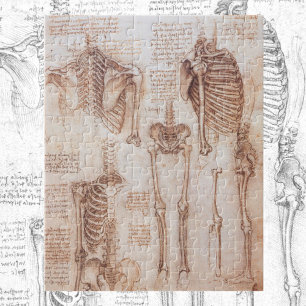 Leonardo da Vincis menschliche Anatomie Skelettkno Puzzle