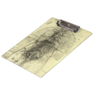 Leonardo da Vincis menschliche Anatomie, weibliche Klemmbrett
