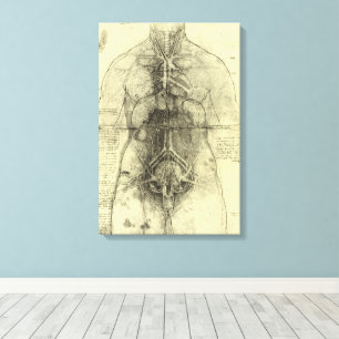 Leonardo da Vincis menschliche Anatomie, weibliche Leinwanddruck