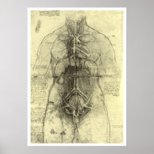 Leonardo da Vincis menschliche Anatomie, weibliche Poster