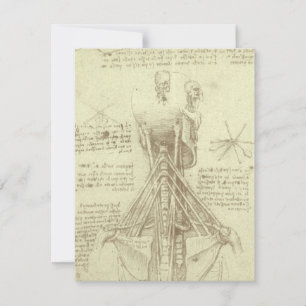 Leonardo da Vincis menschliche Anatomie-Wirbelsäul