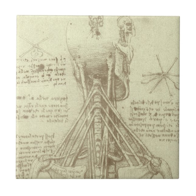 Leonardo da Vincis menschliche Anatomie-Wirbelsäul Fliese (Vorderseite)