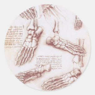 Leonardo da Vincis menschliche Fußknochen Anatomie Runder Aufkleber