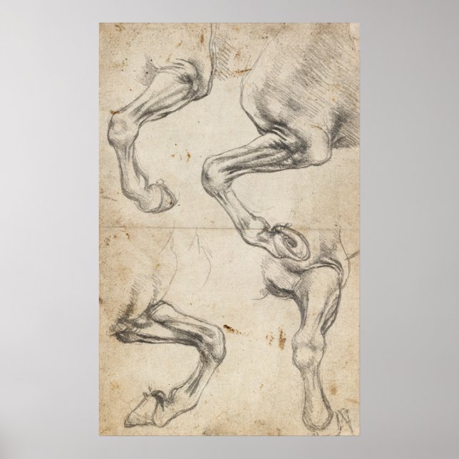 Leonardo Study for Horse Legs Poster (Vorne)
