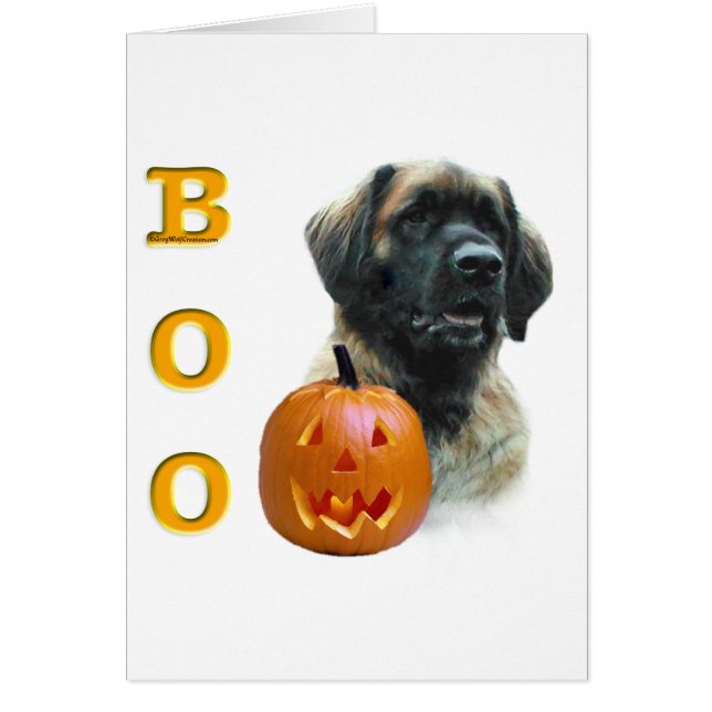 Leonberger Boo (Vorne)