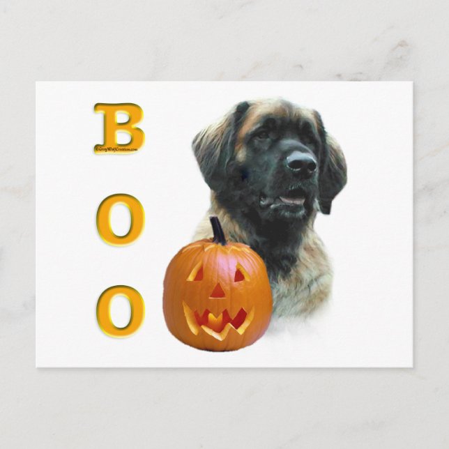Leonberger Boo Postkarte (Vorderseite)