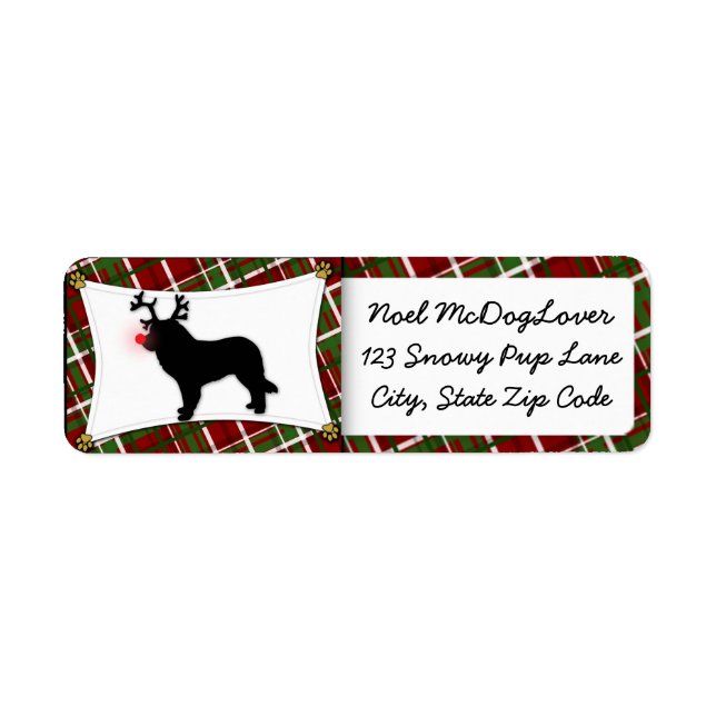 Leonberger Christmas (Vorne)