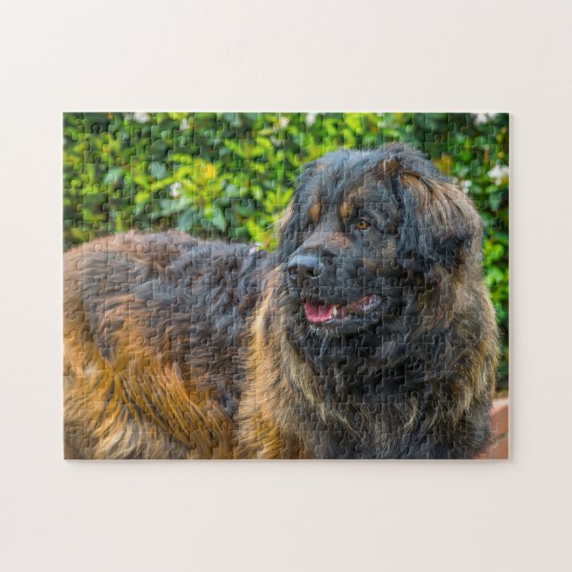 Leonberger Dog Breed Jigsaw. Puzzle (Horizontal)