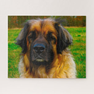Leonberger Dog Breed Jigsaw. Puzzle