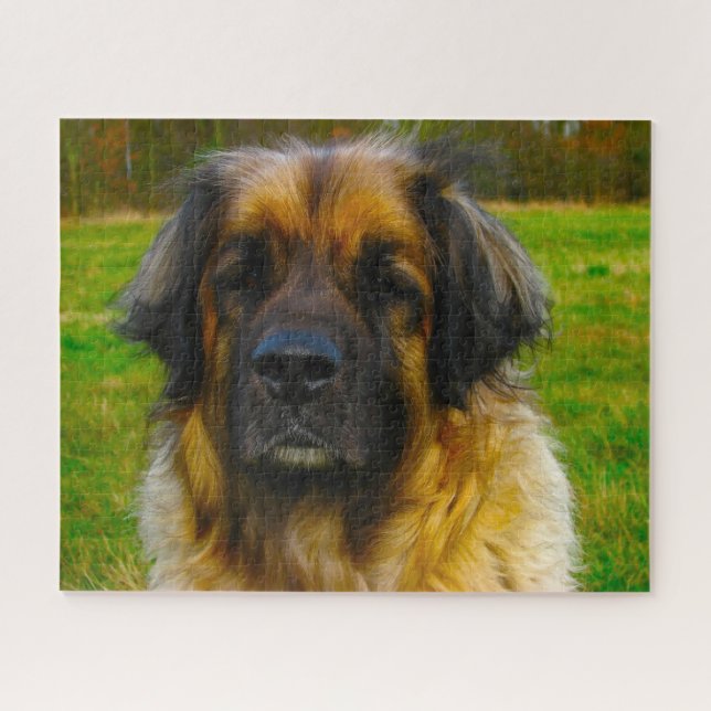 Leonberger Dog Breed Jigsaw. Puzzle (Horizontal)