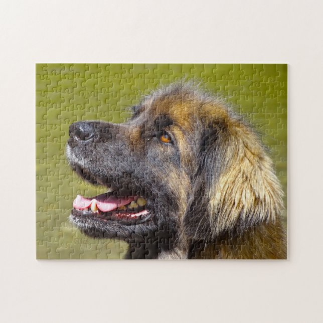 Leonberger Dog Breed Jigsaw. Puzzle (Horizontal)
